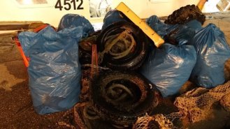 diMCnEIAgviFBsH-800x450-noPad