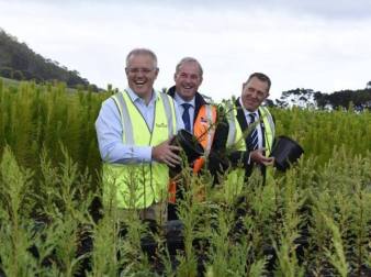 r0_0_800_600_w1200_h678_fmax-klFF-U31001029371015nvH-1224x916@Corriere-Web-Sezioni-593x443